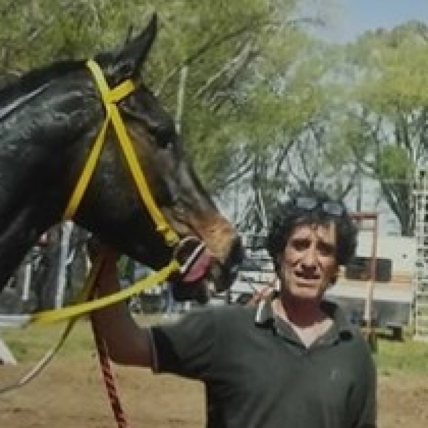 TURF : DOBLETE PARA STUD EL CHOCOLATE