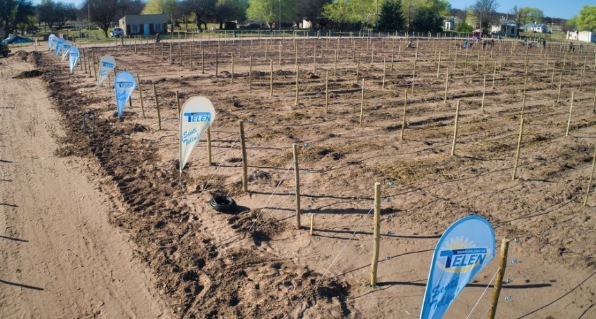 COMENZÓ UN GRAN SUEÑO ENTRE LAS Y LOS TELENENSES