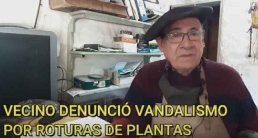 VICTORICA: VECINO DENUNCIA VANDALISMO POR ROTURAS DE PLANTAS