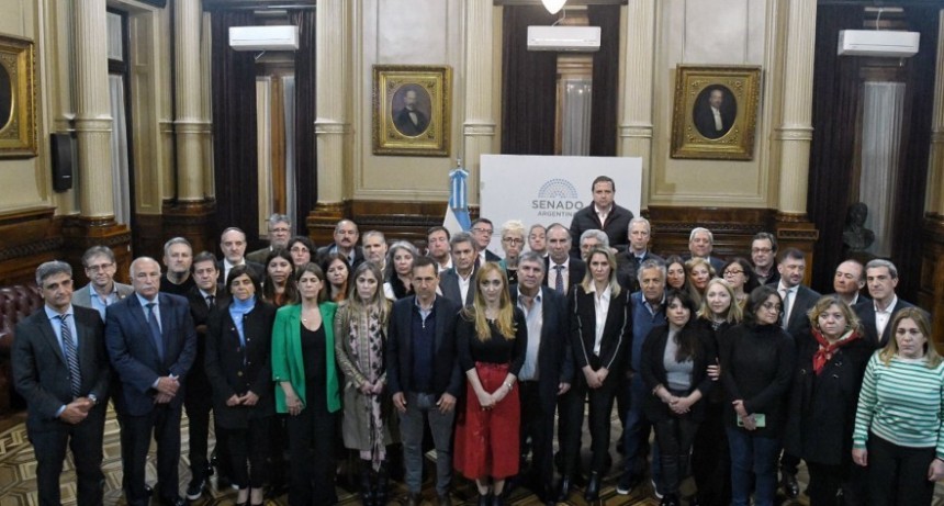 Senadores oficialistas y opositores hablaron de un intento de 