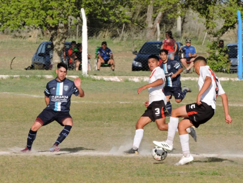 CARRO Y COCHICO NO SE SACARON VENTAJAS