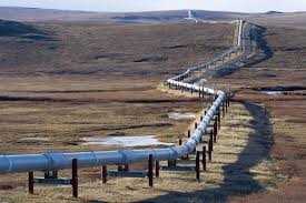 ELIMINAN EL SUBSIDIO AL GAS PATAGÓNICO?