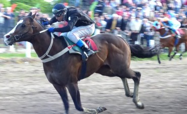 TURF: El Caballo victoriquense A Piacere sigue mostrando su calidad