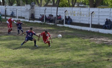 Cochico perdió, y esta con vida todavía