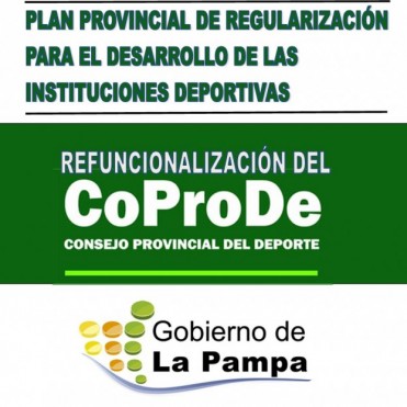PLAN PROVINCIAL DE REGULARIZACIÓN PARA EL DESARROLLO DE LAS INSTITUCIONES DEPORTIVAS