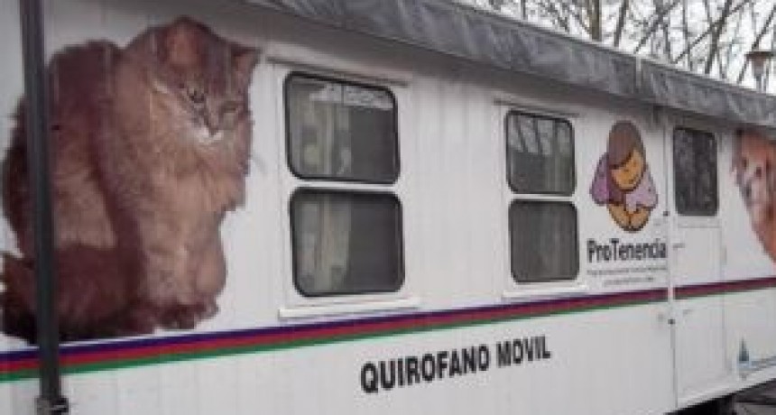 QUIROFANO MOVIL EN VICTORICA