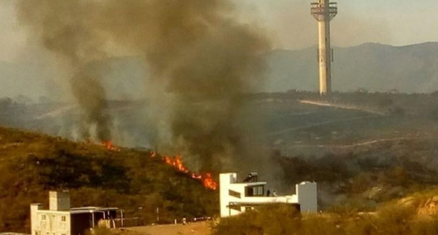  Incendios en Córdoba-Peko's: Los animales salvajes se quemaron todos