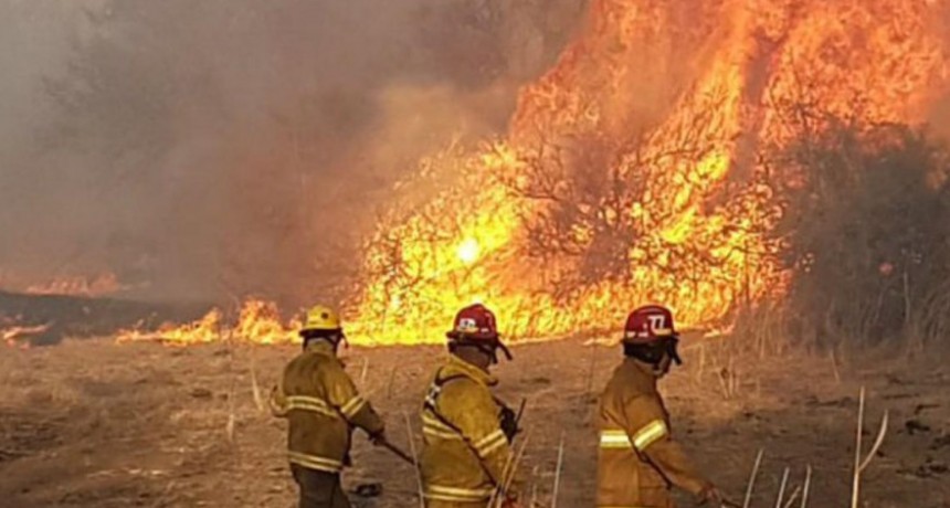 Otorgan asignaci&oacute;n mensual de $10.000 a trabajadores que presten servicio en el combate de incendios