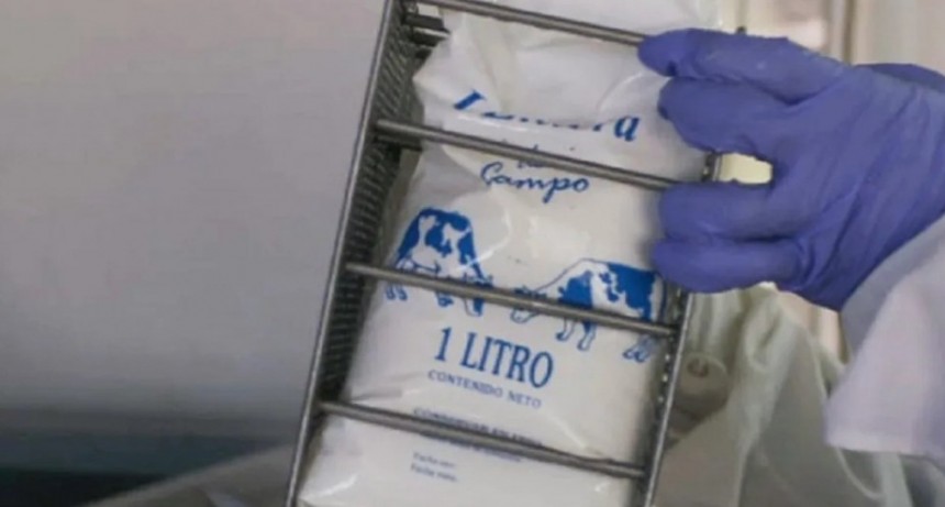 El INTA desarrolló la primera pasteurizadora de leche envasada que abarata costos y garantiza inocuidad