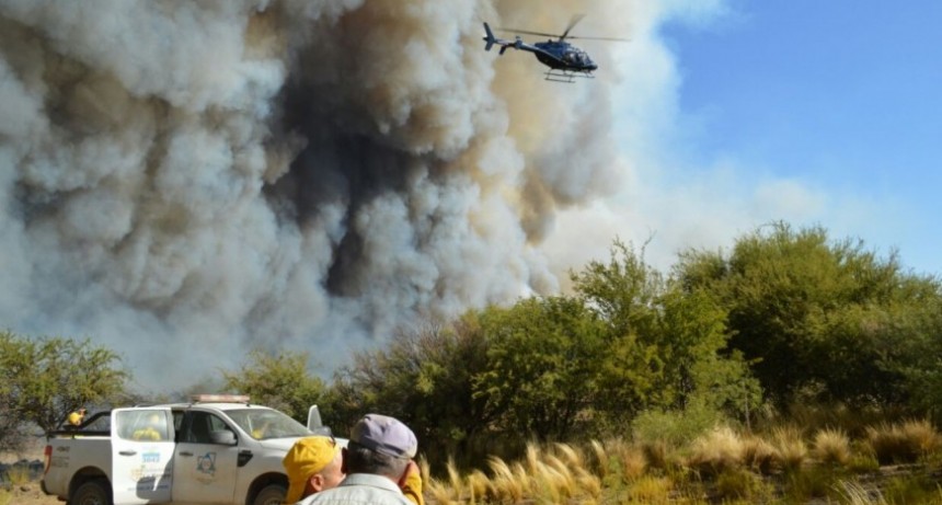 Recomendaciones para evitar incendios forestales