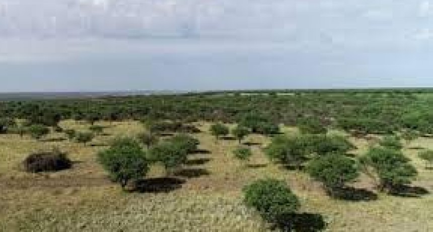 Buscan la cesión de las hectáreas que comprende el Parque Nacional 