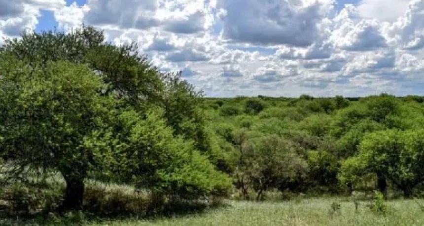 No habrá expropiación de tierras para la creación del Parque El Caldenal 