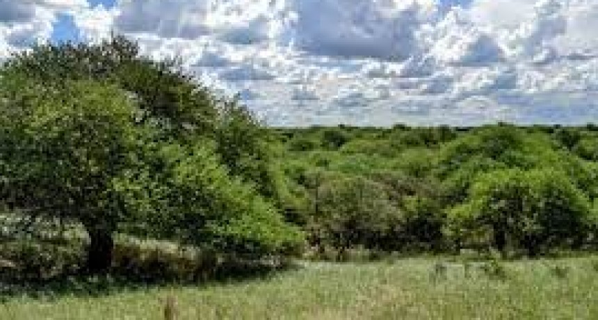 Un planteo de la Agrícola frenó la ley para crear el Parque Nacional 
