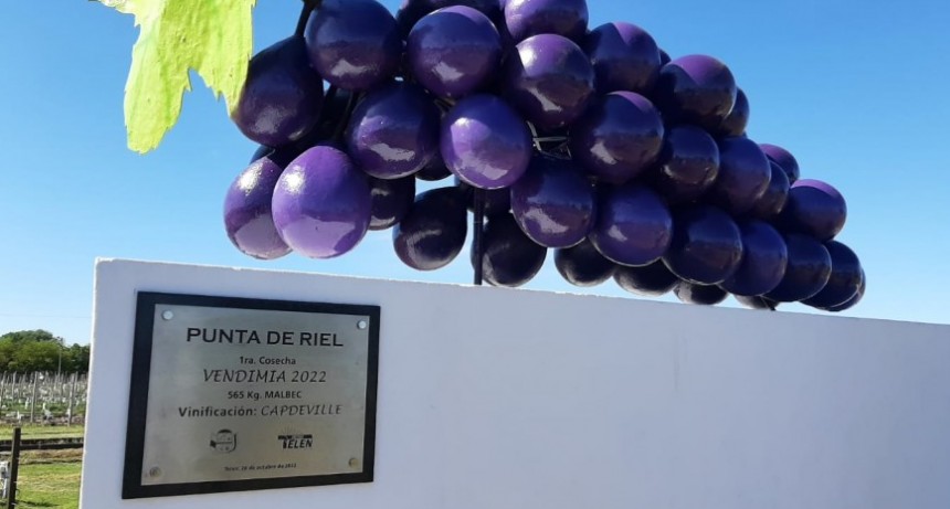 Emprendimientos como este, constituyen otro modelo de producción a pequeña escala...
