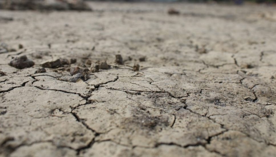 Sequía: el Gobierno destina $30 millones en subsidios para campos de Victorica, Telén y Loventuel