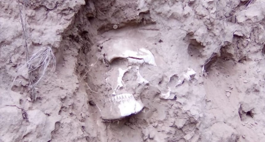 ENCONTRARON CRÁNEO EN UN CAMPO CERCA DE TELÉN