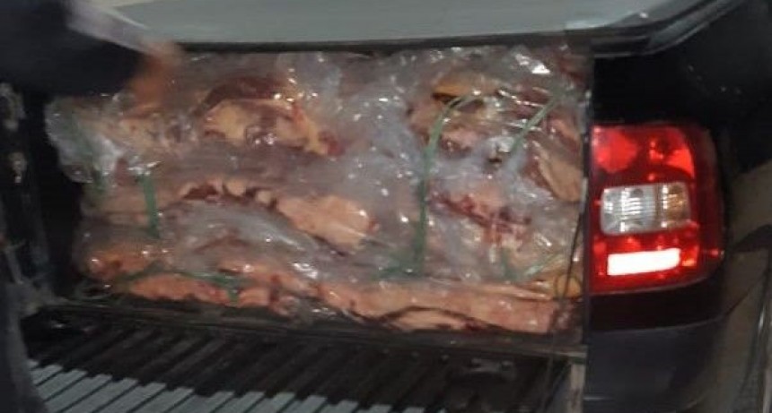 DECOMISARON MÁS DE 700 KILOS DE CARNE PAMPEANA