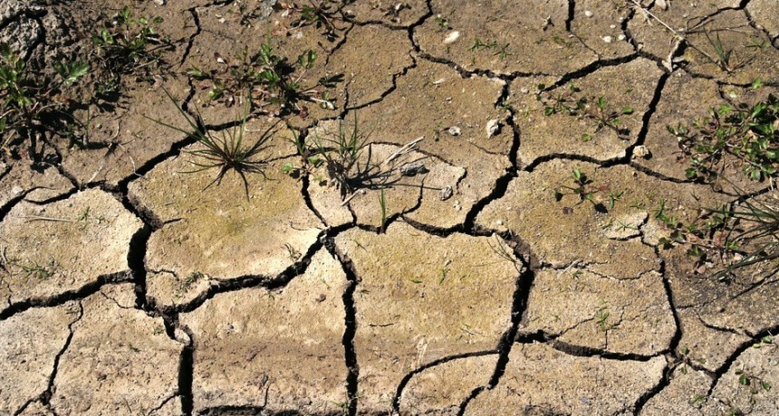  Sequía: en diez días declaran la emergencia nacional en 6 millones de hectáreas de La Pampa