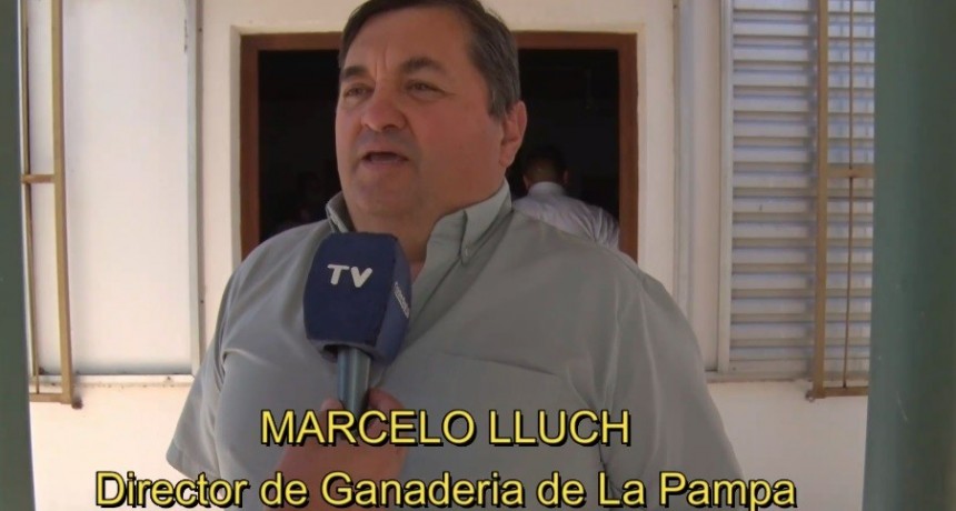 PLAN GANADERO EN VICTORICA (video)