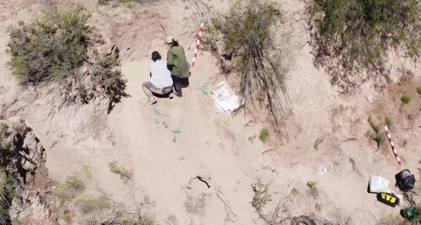 Hallazgo de cráneo en un campo de Telén: se trataría de un enterratorio ancestral