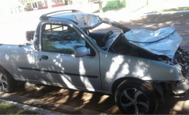 Vuelve la tranquera???? animales suelto sobre ruta 10 ocasionan accidente