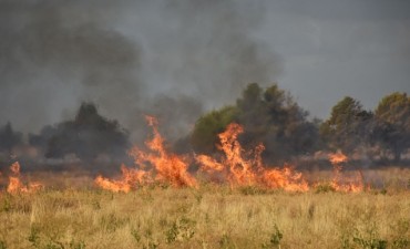 Incendio en Luan Toro y Jagüel del Monte 