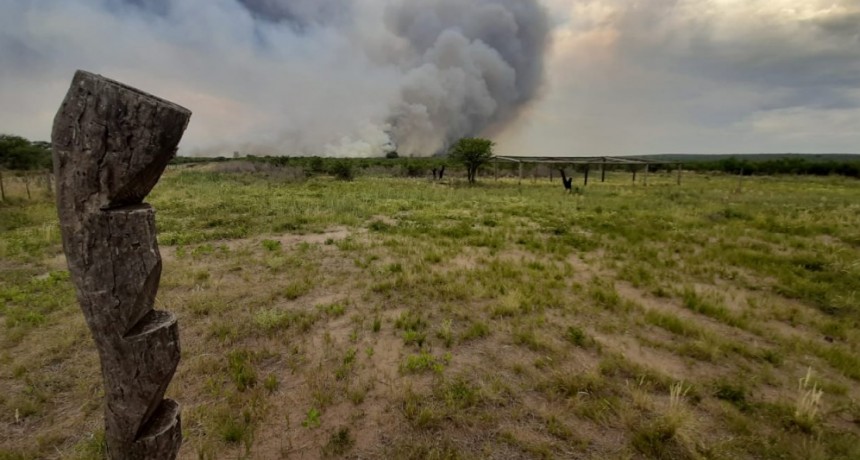 Un incendio devora montes de caldén en cercanías de Leuvucó