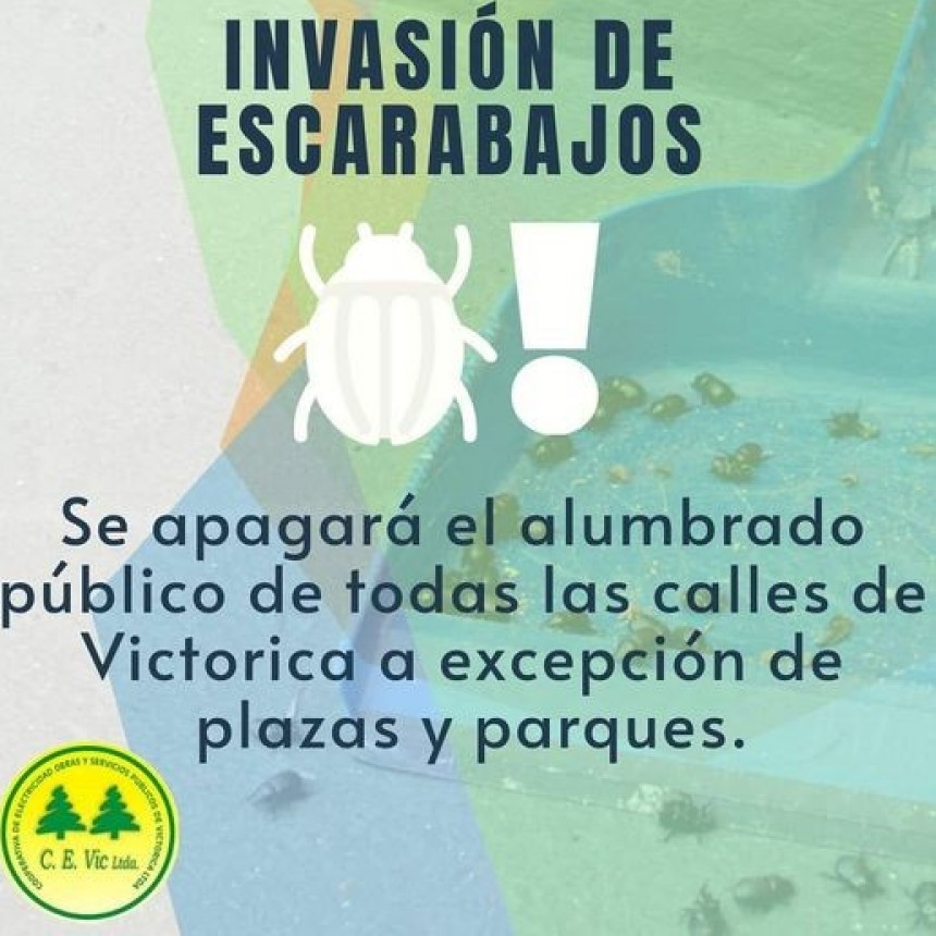 CORTAN ALUMBRADO PÚBLICO POR INVASION DE CASCARUDOS