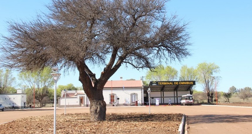 FIESTA DE LA GANADERIA EN 4 FECHAS, LA PRIMERA EN FEBRERO EN LA TERMINAL DE OMNIBUS, SIN JINETEADA