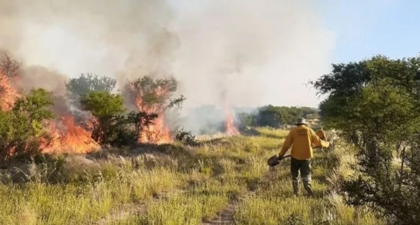 Incendios en La Pampa: “Lo más complicado se viene en enero”