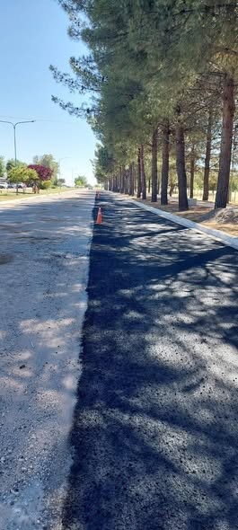  Avanzan trabajos de asfaltado en Av. Agustín Borthiry